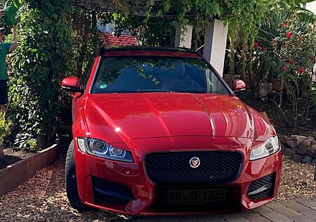 Jaguar XF gebraucht kaufen Jaguar XF 20d AWD 180PS R-Sport Sportbrake Auto. R-...