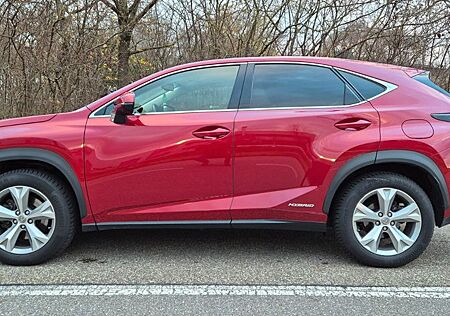 Lexus NX 300 NX 300h E-FOUR Luxury Line*8-fach*PANO*LED*HUD