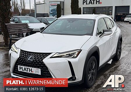 Lexus UX 250 h Launch Edition