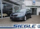 Skoda Octavia Combi 2.0 TSI Style 4x4 Navi LED DSG Tei