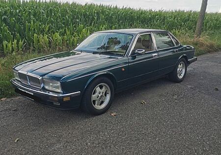 Jaguar XJ6