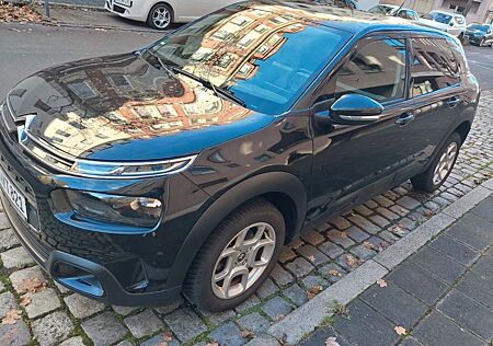 Citroën C4 Cactus BlueHDi 120 S&S Shine EAT6 Shine