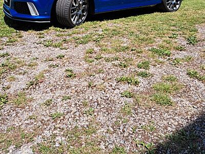 Audi RSQ3 2.5 TFSI S tronic quattro -