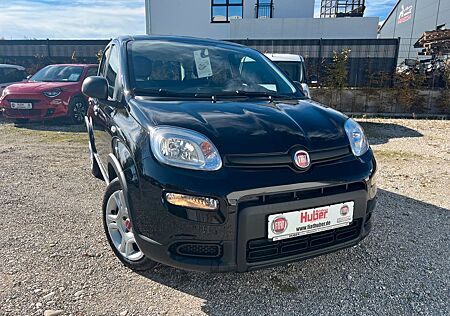 Fiat Panda Hybrid Radio Klima Sofort verfügbar