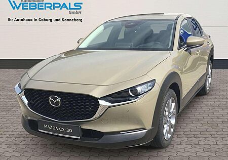 Mazda CX-30 Exclusive-Line 2WD-NAVI-KAMERA-SITZHEIZUNG