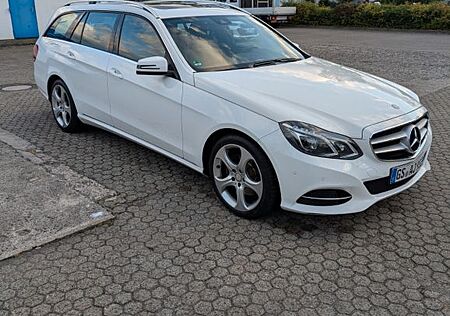 Mercedes-Benz E 250 BlueTEC 4MATIC T AVANTGARDE Autom. AVA...