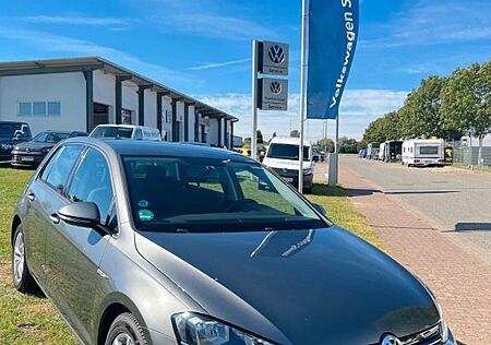 VW Golf Volkswagen VII Lim. Comfortline BlueMotion