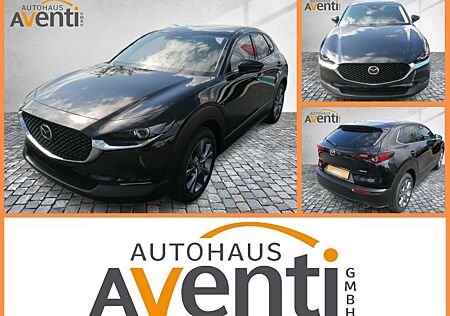 Mazda CX-30 Exclusive-Line SHZ*HUD*ACC*LM*RFK