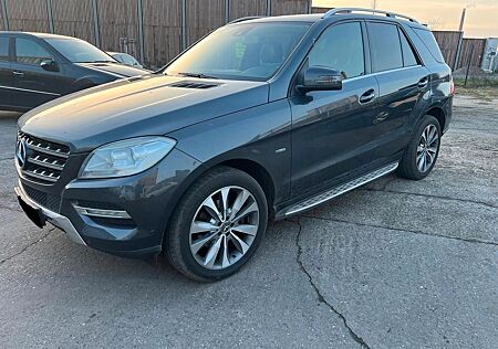 Mercedes-Benz ML 350 ML CDI BlueTec