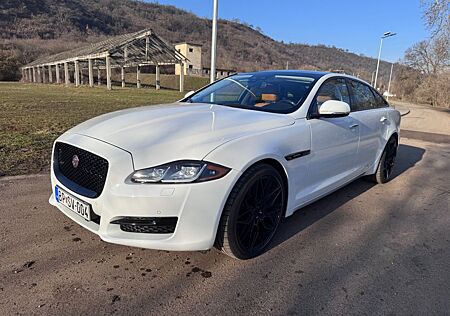 Jaguar XJR