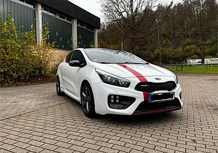 Kia Pro_ceed pro_cee'd / ProCeed 1.6 T-GDI GT-Cup pro_cee...