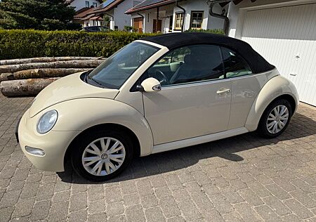 VW Beetle Volkswagen 2.0 Automatik | Gepflegt | HU 07/2026