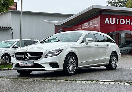 Mercedes-Benz CLS 250 Shooting Brake CLS 250 BlueTec / d (218.