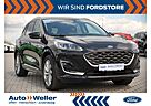 Ford Kuga Plug-In Hybrid Vignale PANO/LED/AHK 1.Hand!