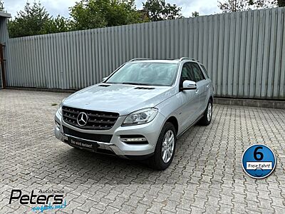 Mercedes-Benz ML 250 CDI 4M BT AHK/Navi/SHD/2. Gaspedal links