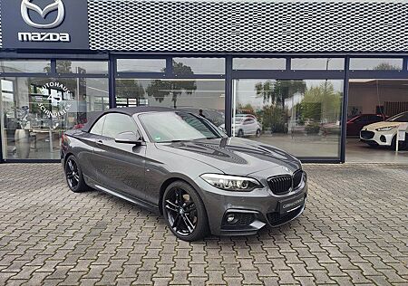 BMW 220i Cabrio M Sport Navi Aut H&K Memory Shzg Par