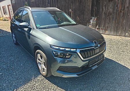Skoda Kamiq Style*Hagel*