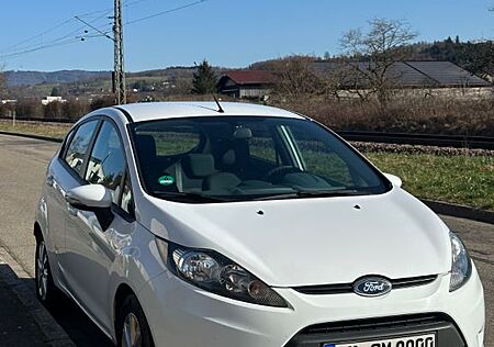 Ford Fiesta gepflegt, sparsam und zuverlässig!!