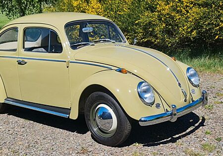 VW Käfer Volkswagen - 1963 - Dickholmer - 4 Vorbesitzer-