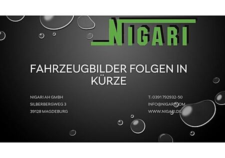Skoda Fabia Style TSI DSG SHZ PDC LED FSE MFL