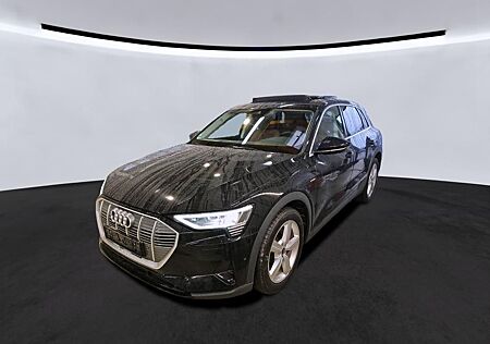 Audi e-tron 50 Q 20Z./AIR-SUS/DAB/NAV/PANO/KAMERA/B&O