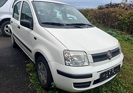 Fiat Panda 1.2 Dynamic*Servo*El. FH*TÜV:10/2026*Euro4