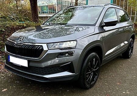 Skoda Karoq 2.0 TDI Tour DSG LED,Klimaaut,Shz,Nav,Temp