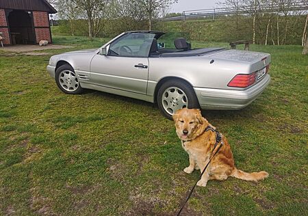 Mercedes-Benz SL 280