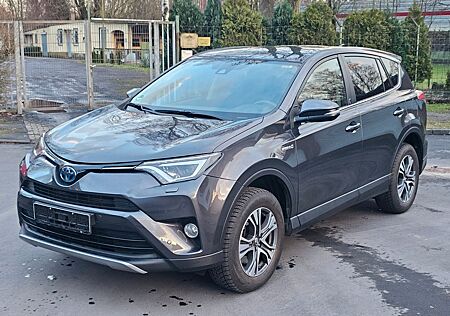 Toyota RAV 4 2,5-l-Hybrid Team Deutschland Auto 4x4