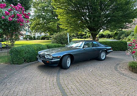 Jaguar XJS mit H-Kennzeichen