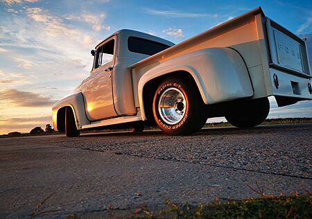 Ford F 100