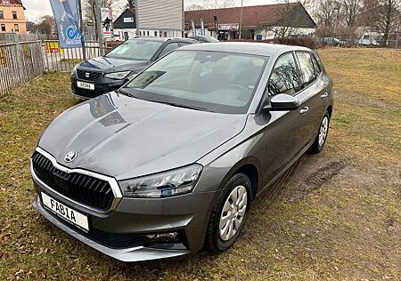 Skoda Fabia Ambition SHZ LED Full Link eFH el Spiegel