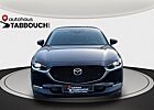 Mazda CX-30 SELECTION+DESIGN+360° KAMERA+LED