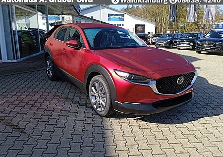 Mazda CX-30 2.5L e-SKYACTIV G Automatik Exclusive