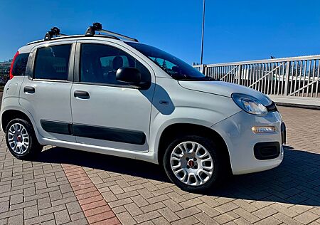 Fiat Panda Easy PDC Klima Multilenkrad