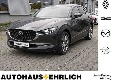 Mazda CX-30 gebraucht kaufen Mazda CX-30 Selection NAVI+PDC+RfK+SHZ+LHZ