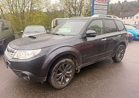 Subaru Forester Edition SITZHZG TÜV 01/28 ALLRAD