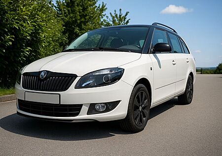 Skoda Fabia 1.6 TDI Monte Carlo Combi!