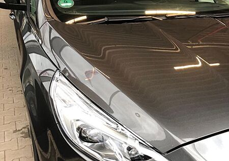 Ford Galaxy 2,0 EcoBlue 140kW Titanium Auto Titanium