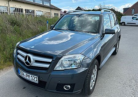 Mercedes-Benz GLK 220 CDI 4MATIC BlueEFFICIENCY -