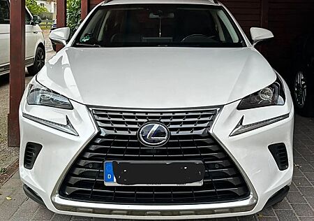 Lexus NX 300 300h - Launch Edition
