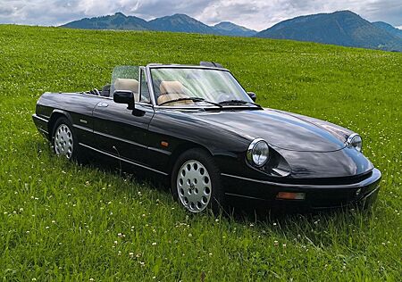Alfa Romeo Spider 115