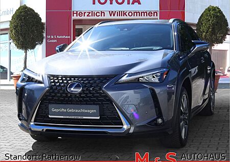 Lexus UX 300 e