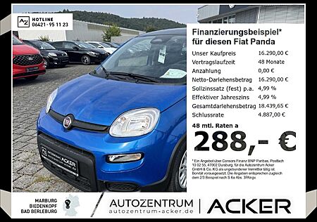 Fiat Panda NEU 1.0 GSE Hybrid DAB Klima City-Paket