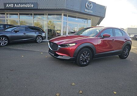 Mazda CX-30 L SKYACTIV-G 2.0 150PS M Hybrid 6AG AL-SEL