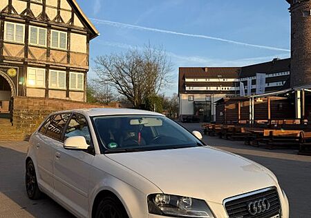 Audi A3 8P 2.0 TDI QUATTRO SPORTBACK