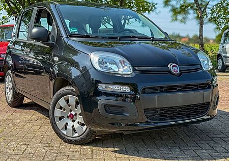 Fiat Panda 1.2*ZAHNRIEMEN&SERVICE NEU*KLIMA*1-HAND