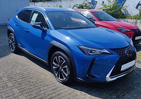 Lexus UX 250h Style Edition, Safety System