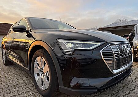 Audi e-tron 50 quattro AHK LED DAB Navi Luftfederung