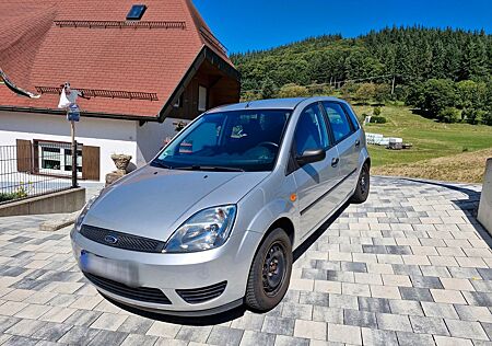 Ford Fiesta wenig Kilometer